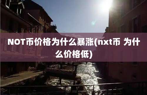 NOT币价格为什么暴涨(nxt币 为什么价格低)