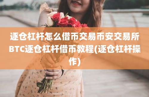 逐仓杠杆怎么借币交易币安交易所BTC逐仓杠杆借币教程(逐仓杠杆操作)