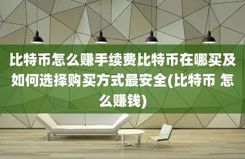 比特币怎么赚手续费比特币在哪买及如何选择购买方式最安全(比特币 怎么赚钱)