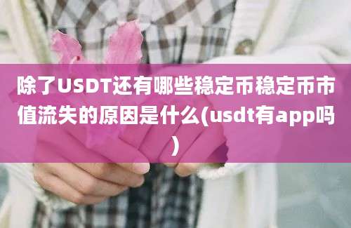 除了USDT还有哪些稳定币稳定币市值流失的原因是什么(usdt有app吗)