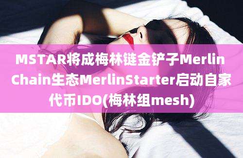 MSTAR将成梅林链金铲子Merlin Chain生态MerlinStarter启动自家代币IDO(梅林组mesh)