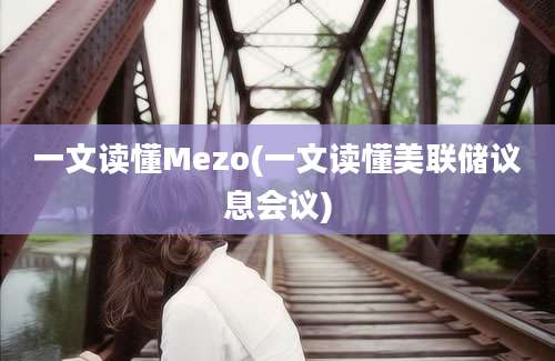 一文读懂Mezo(一文读懂美联储议息会议)