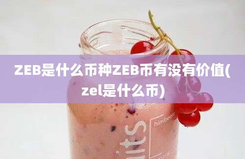 ZEB是什么币种ZEB币有没有价值(zel是什么币)