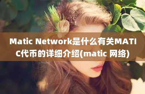 Matic Network是什么有关MATIC代币的详细介绍(matic 网络)