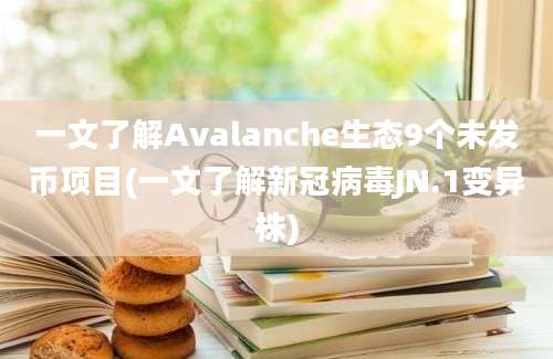 一文了解Avalanche生态9个未发币项目(一文了解新冠病毒JN.1变异株)