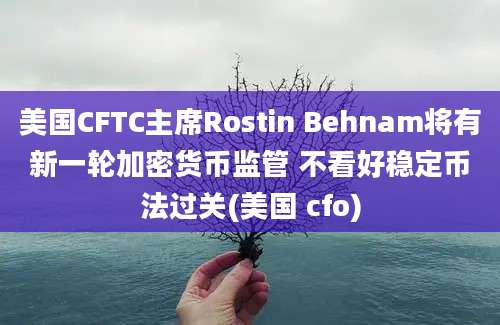 美国CFTC主席Rostin Behnam将有新一轮加密货币监管 不看好稳定币法过关(美国 cfo)