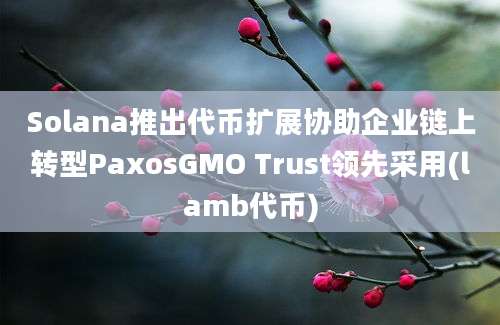 Solana推出代币扩展协助企业链上转型PaxosGMO Trust领先采用(lamb代币)