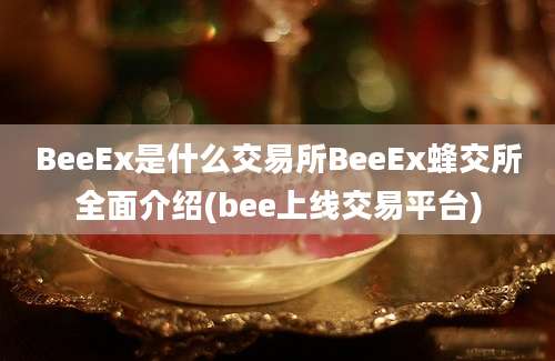 BeeEx是什么交易所BeeEx蜂交所全面介绍(bee上线交易平台)