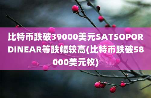 比特币跌破39000美元SATSOPORDINEAR等跌幅较高(比特币跌破58000美元枚)