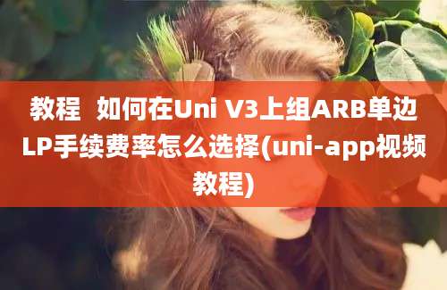 教程  如何在Uni V3上组ARB单边LP手续费率怎么选择(uni-app视频教程)