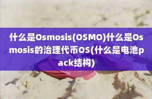 什么是Osmosis(OSMO)什么是Osmosis的治理代币OS(什么是电池pack结构)