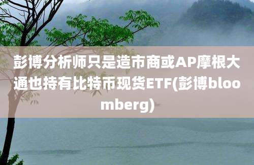 彭博分析师只是造市商或AP摩根大通也持有比特币现货ETF(彭博bloomberg)