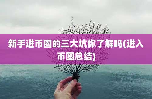 新手进币圈的三大坑你了解吗(进入币圈总结)