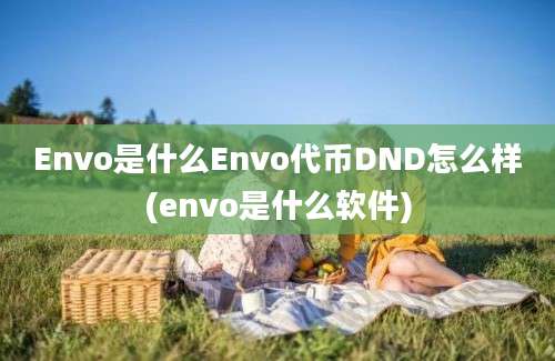 Envo是什么Envo代币DND怎么样(envo是什么软件)