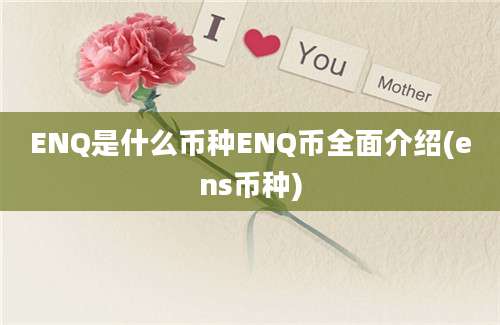 ENQ是什么币种ENQ币全面介绍(ens币种)