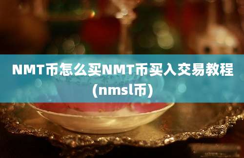 NMT币怎么买NMT币买入交易教程(nmsl币)