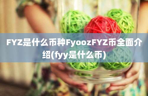 FYZ是什么币种FyoozFYZ币全面介绍(fyy是什么币)