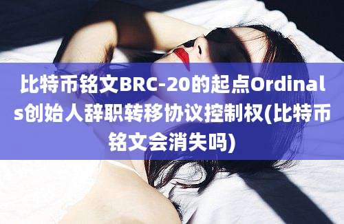 比特币铭文BRC-20的起点Ordinals创始人辞职转移协议控制权(比特币铭文会消失吗)