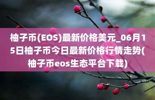 柚子币(EOS)最新价格美元_06月15日柚子币今日最新价格行情走势(柚子币eos生态平台下载)