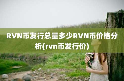 RVN币发行总量多少RVN币价格分析(rvn币发行价)