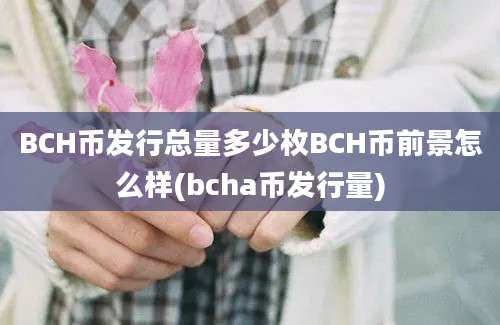 BCH币发行总量多少枚BCH币前景怎么样(bcha币发行量)