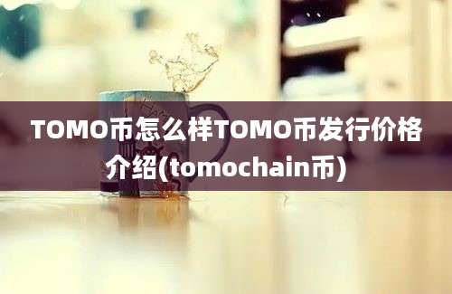 TOMO币怎么样TOMO币发行价格介绍(tomochain币)