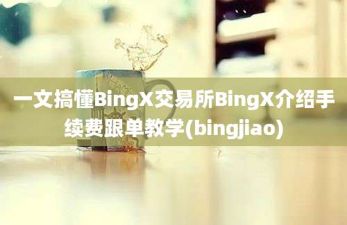 一文搞懂BingX交易所BingX介绍手续费跟单教学(bingjiao)