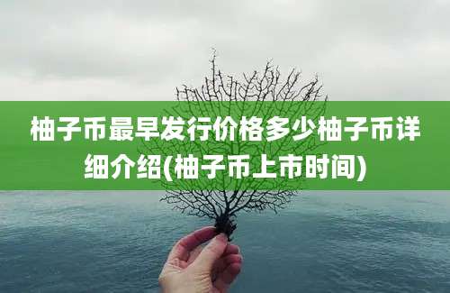 柚子币最早发行价格多少柚子币详细介绍(柚子币上市时间)