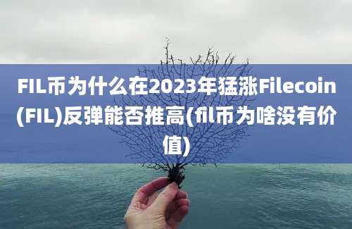 FIL币为什么在2023年猛涨Filecoin(FIL)反弹能否推高(fil币为啥没有价值)