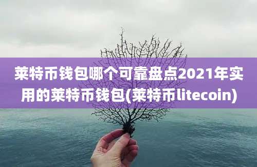 莱特币钱包哪个可靠盘点2021年实用的莱特币钱包(莱特币litecoin)