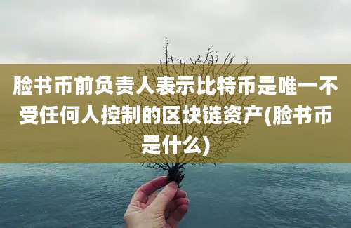 脸书币前负责人表示比特币是唯一不受任何人控制的区块链资产(脸书币是什么)