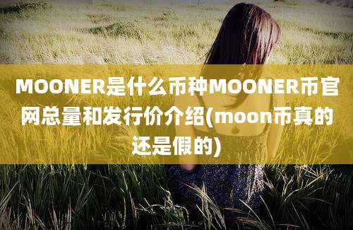 MOONER是什么币种MOONER币官网总量和发行价介绍(moon币真的还是假的)