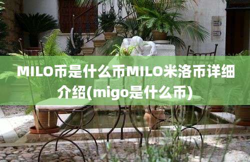 MILO币是什么币MILO米洛币详细介绍(migo是什么币)