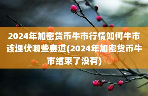 2024年加密货币牛市行情如何牛市该埋伏哪些赛道(2024年加密货币牛市结束了没有)