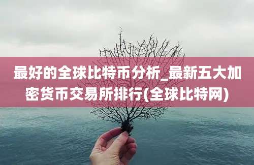 最好的全球比特币分析_最新五大加密货币交易所排行(全球比特网)