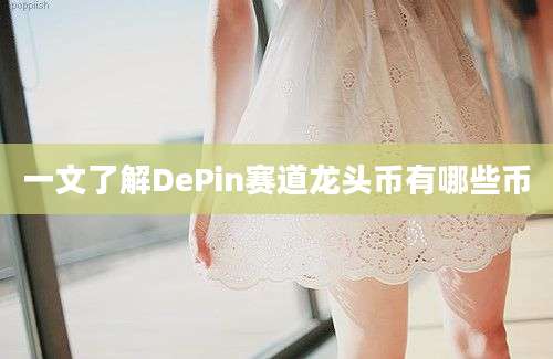 一文了解DePin赛道龙头币有哪些币