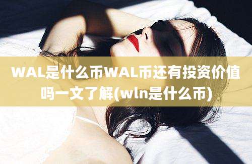 WAL是什么币WAL币还有投资价值吗一文了解(wln是什么币)