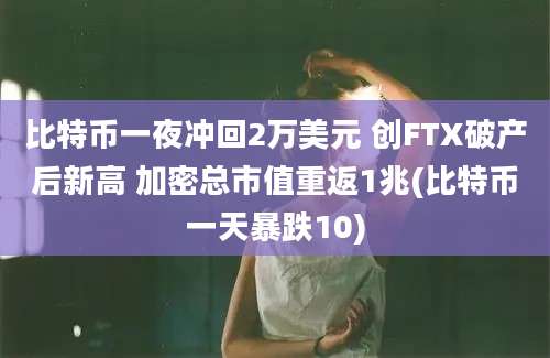 比特币一夜冲回2万美元 创FTX破产后新高 加密总市值重返1兆(比特币一天暴跌10)