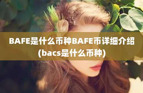 BAFE是什么币种BAFE币详细介绍(bacs是什么币种)