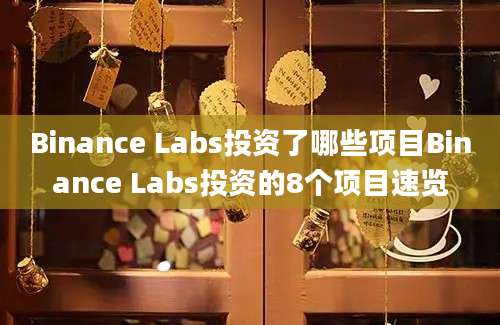 Binance Labs投资了哪些项目Binance Labs投资的8个项目速览