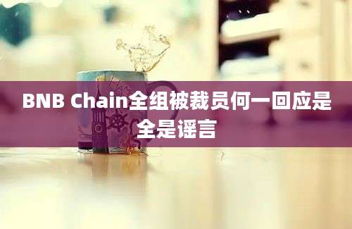 BNB Chain全组被裁员何一回应是全是谣言