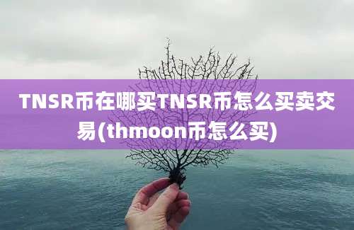 TNSR币在哪买TNSR币怎么买卖交易(thmoon币怎么买)