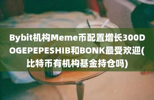 Bybit机构Meme币配置增长300DOGEPEPESHIB和BONK最受欢迎(比特币有机构基金持仓吗)