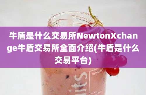 牛盾是什么交易所NewtonXchange牛盾交易所全面介绍(牛盾是什么交易平台)