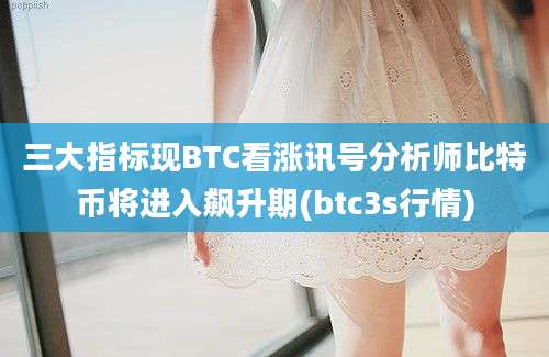 三大指标现BTC看涨讯号分析师比特币将进入飙升期(btc3s行情)