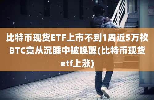 比特币现货ETF上市不到1周近5万枚BTC竟从沉睡中被唤醒(比特币现货etf上涨)