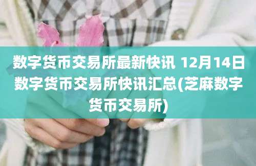 数字货币交易所最新快讯 12月14日数字货币交易所快讯汇总(芝麻数字货币交易所)