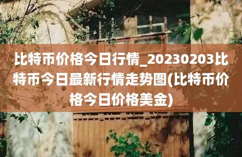 比特币价格今日行情_20230203比特币今日最新行情走势图(比特币价格今日价格美金)