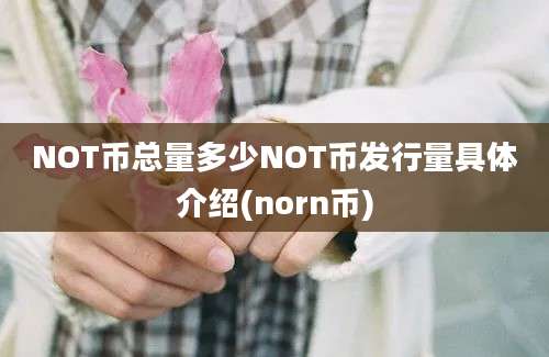 NOT币总量多少NOT币发行量具体介绍(norn币)