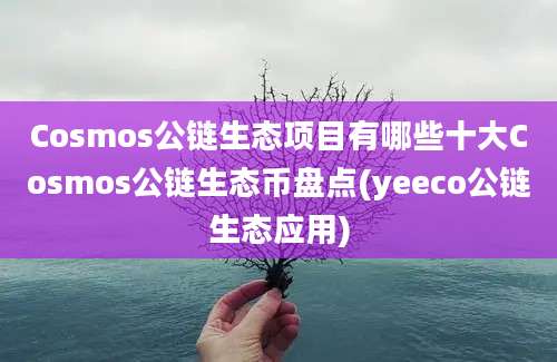 Cosmos公链生态项目有哪些十大Cosmos公链生态币盘点(yeeco公链生态应用)